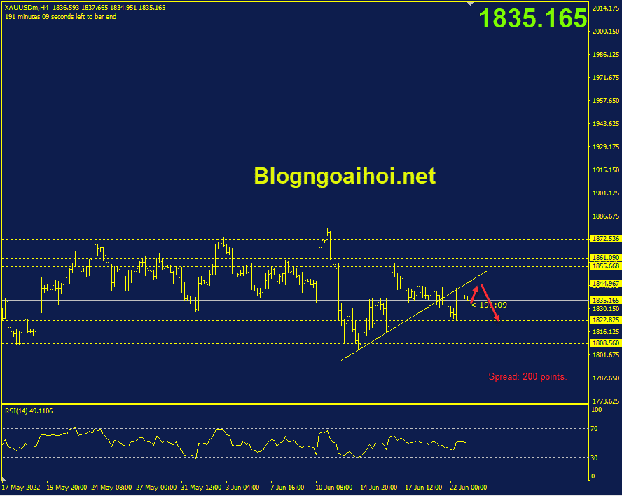 vang-23-6-kiem-tra-lai-trendline-bi-gay