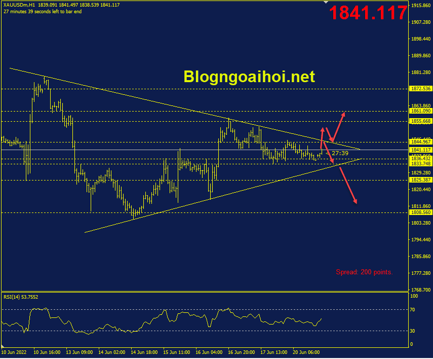 vang-21-6-nen-trong-mo-hinh-tam-giac