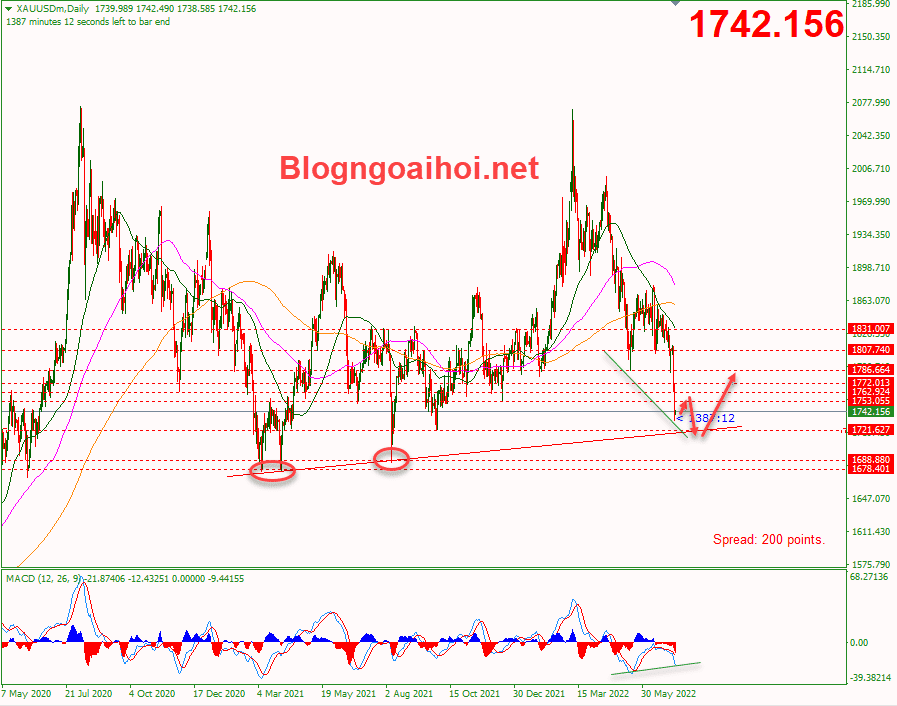 vang-7-7-trendline-ho-tro-tang