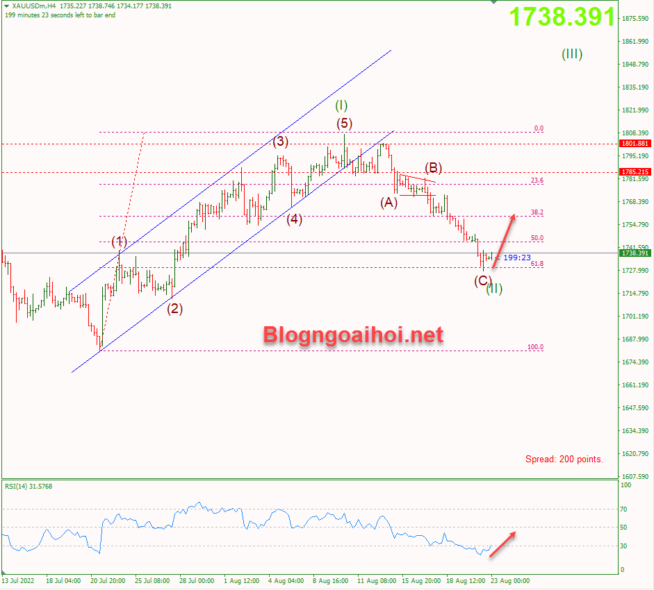 vang-23-8-ho-tro-fib-61.8