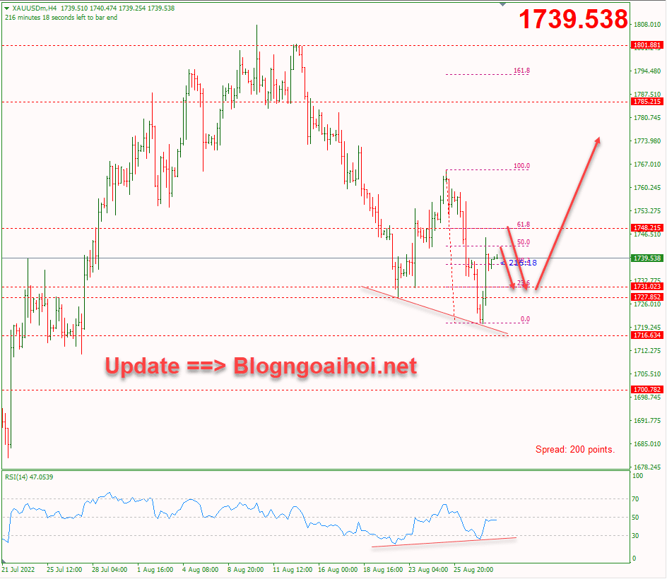 vang-30-8-khang-cu-fib-50%