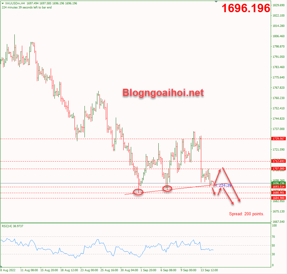 vang-15-9-trendline-ho-tro-tang