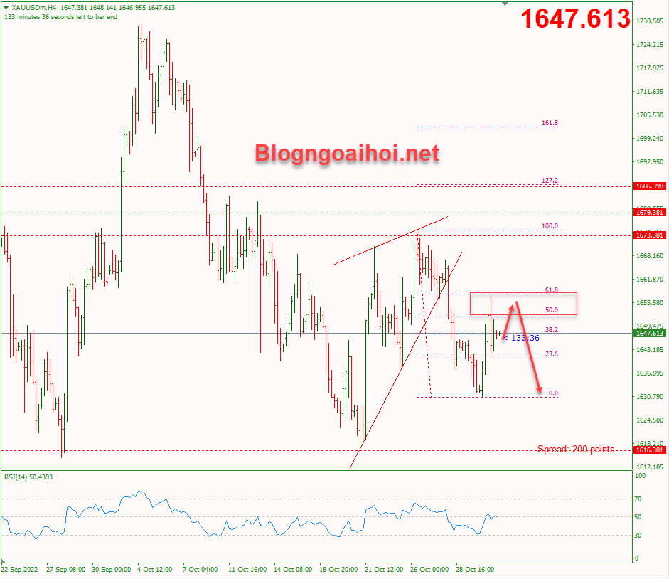 vang-2-11-khang-cu-fib-50